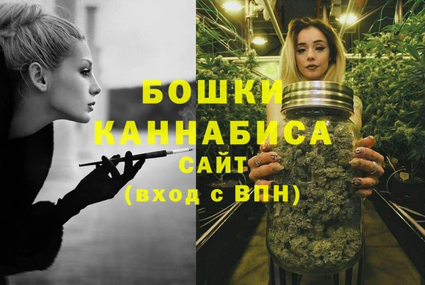СК Новодвинск