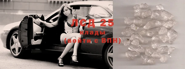 СК Новодвинск