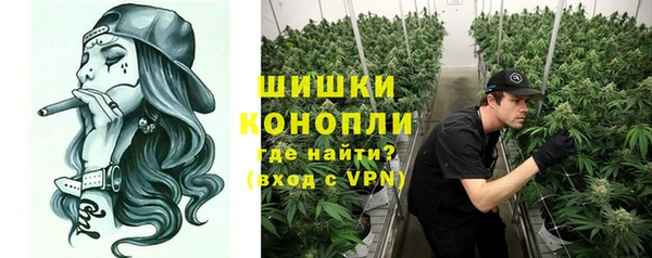 молекула духа Новокубанск